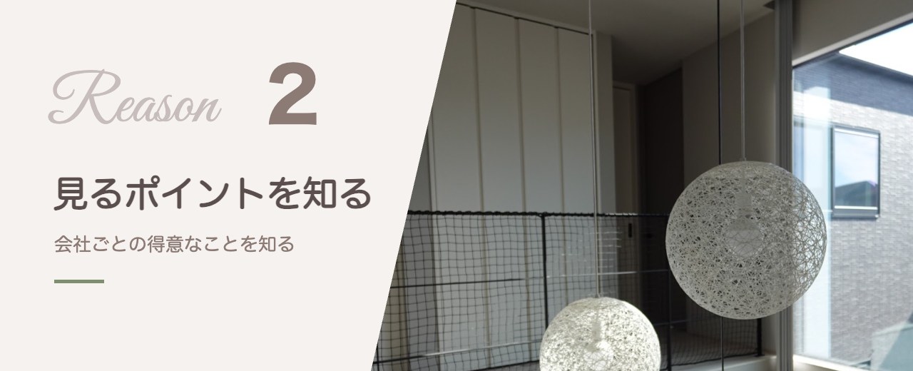 理由2 見るポイントを知ってから行く