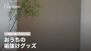 An homeの家づくり サムネイル